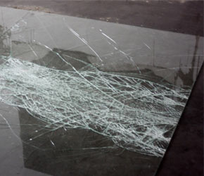 Business Opportunities